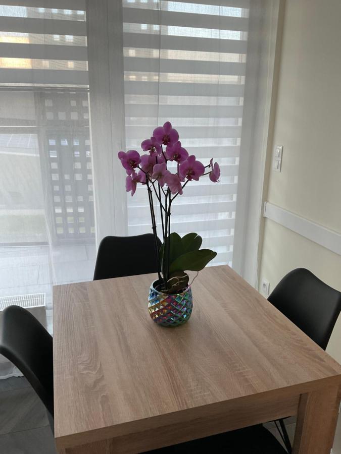 Apartament „Dwie Wieze” Lejlighed Katowice Eksteriør billede